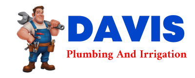 Trusted plumber in IRMO